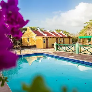 Daniel - Plantation House Hotel