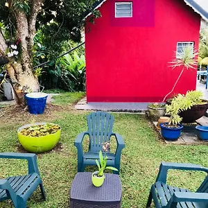 Bambou Hébergement de vacances